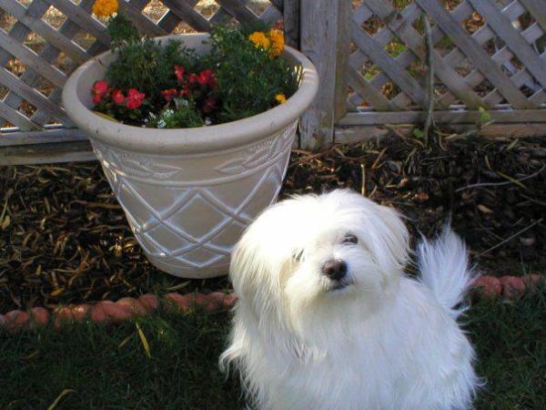 He Is Not&nbsp;There