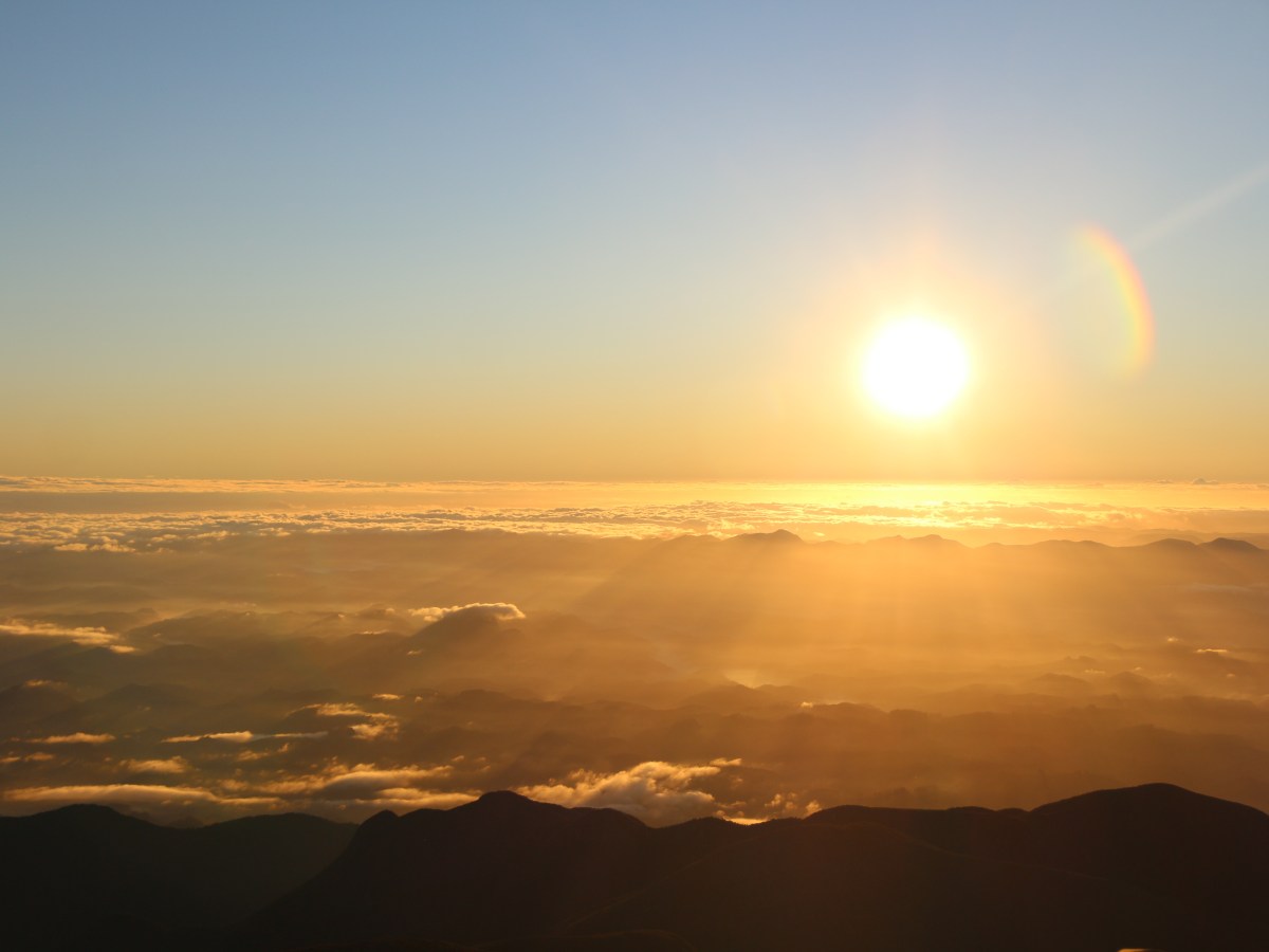 Lost In The&nbsp;Light